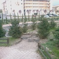 IMAG0060