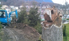 IMAG0108