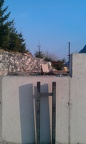 IMAG0879