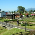 DSCN0600