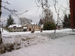 IMAG0305