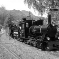 DSCN3329